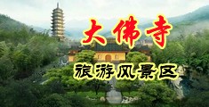 大鸡巴插鸡大鸡视频免费网站中国浙江-新昌大佛寺旅游风景区